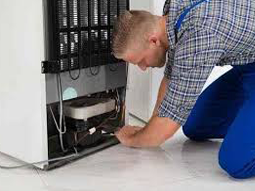 Maintenance